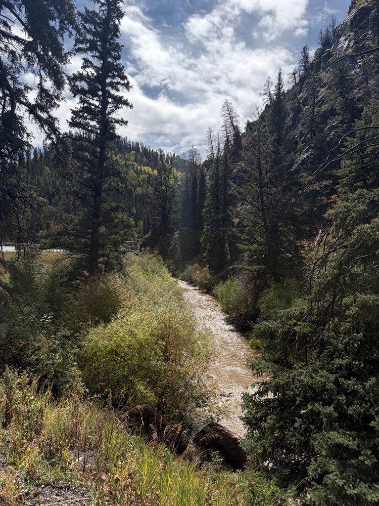 Sunlit creek running through a pine-covered canyon